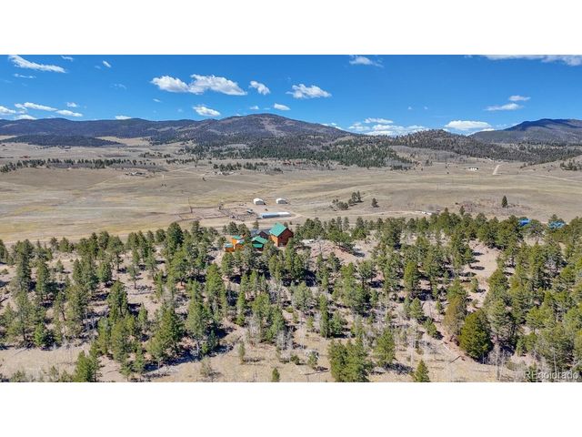 229 Ladigo Ln, Hartsel, CO 80449