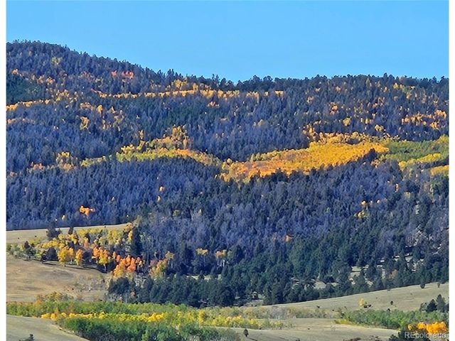 229 Ladigo Ln, Hartsel, CO 80449