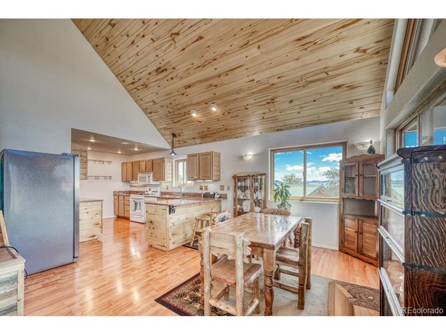 229 Ladigo Ln, Hartsel, CO 80449