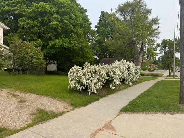 313 W 6th Street, Evart, MI 49631