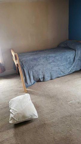 313 W 6th Street, Evart, MI 49631