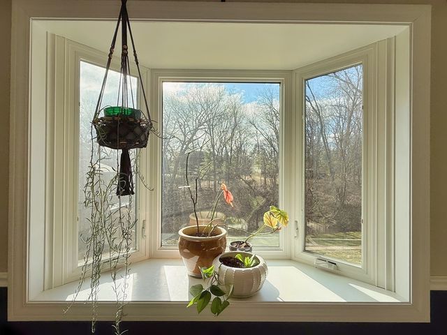 4604 30th Avenue Court, Rock Island, IL 60201