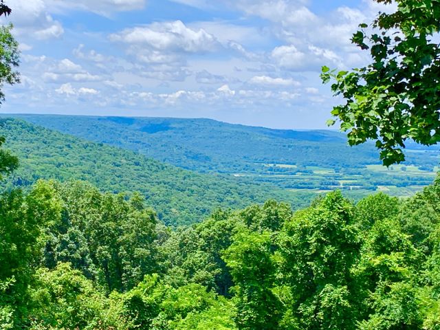 705 N Campbell Rd, Altamont, TN 37301