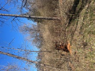 0 Old Rocky Mount RD, Roanoke, VA 24014
