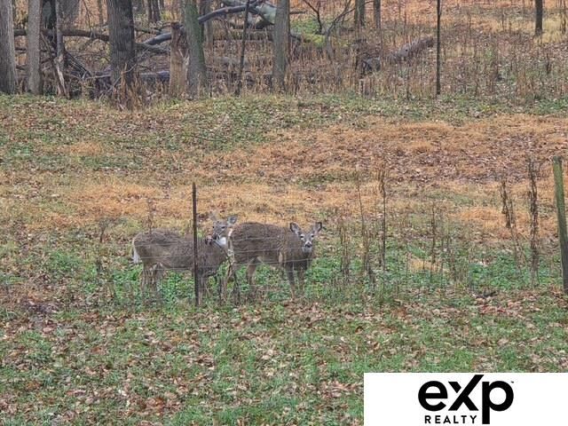 517 Bellevue Blvd Boulevard N, Bellevue, NE 68005