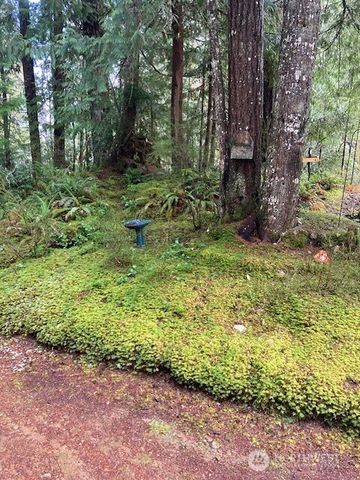 950 N Potlatch Drive, Hoodsport, WA 98548