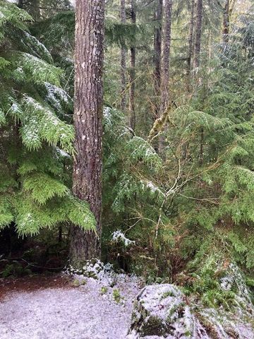 950 N Potlatch Drive, Hoodsport, WA 98548