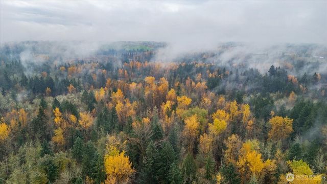 10918 288th Street E, Graham, WA 98338