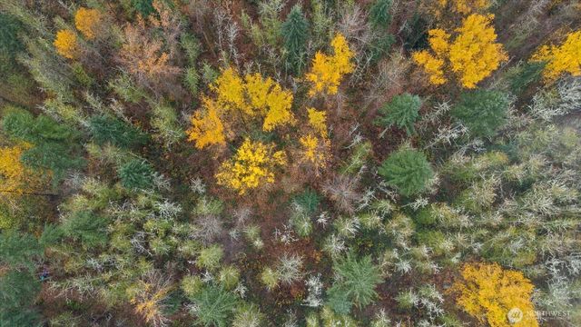 10918 288th Street E, Graham, WA 98338