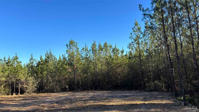 lot 58 Straw Bridge Rd, Allentown, FL 32565