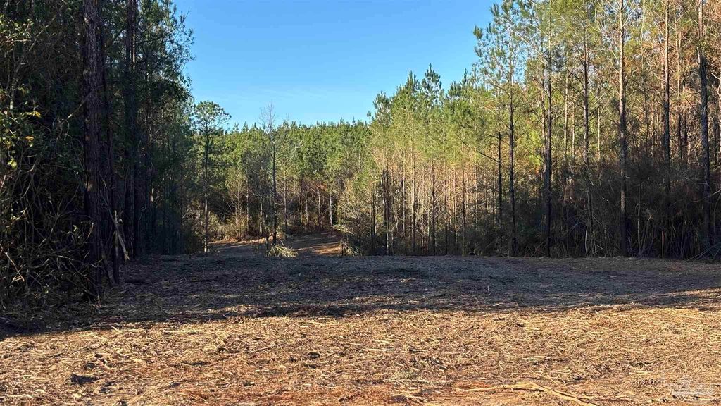 lot 58 Straw Bridge Rd, Allentown, FL 32565