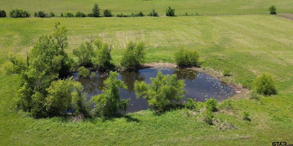 TBD Hwy 24, Paris, TX 75460