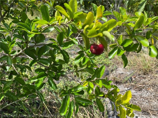 515 Straight Street, Sebring, FL 33875