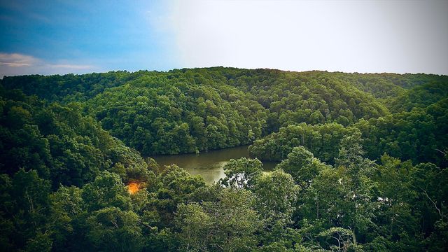 308 Dale Hollow Manor Road, Albany, KY 42602