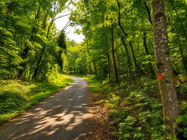 1493 Missouri Hollow Road, Monticello, KY 42633