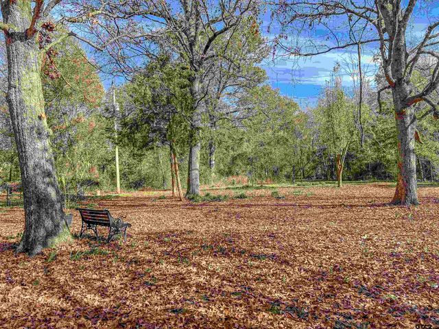 74 County Road 4220, Mt Vernon, TX 75457