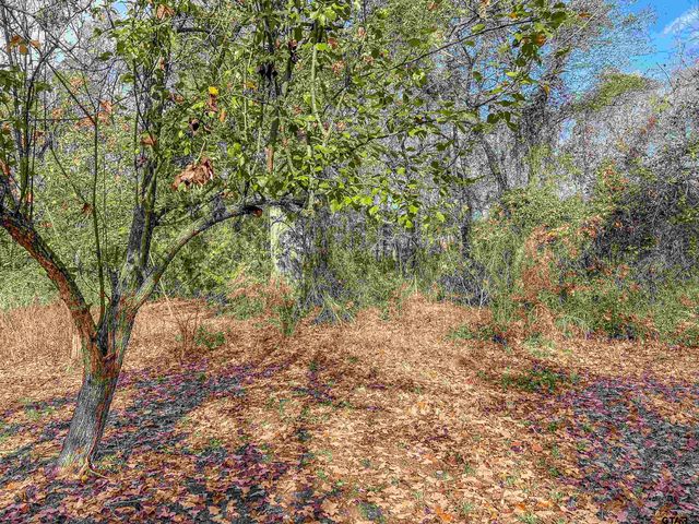 74 County Road 4220, Mt Vernon, TX 75457