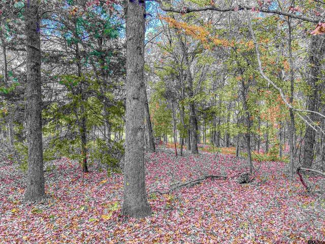 74 County Road 4220, Mt Vernon, TX 75457