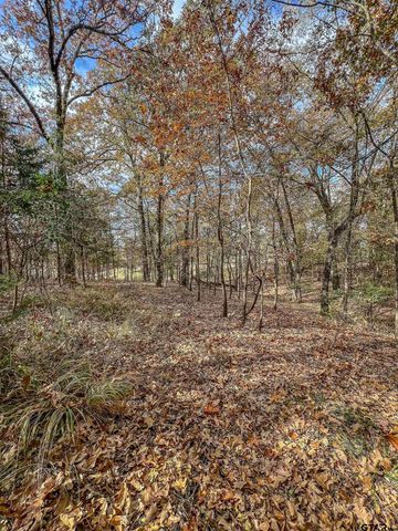 74 County Road 4220, Mt Vernon, TX 75457