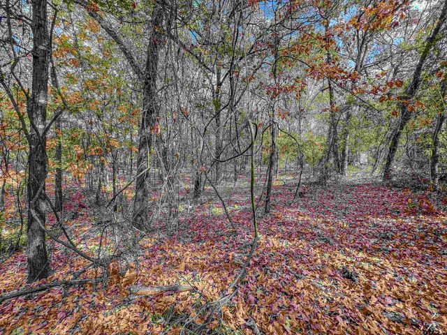 74 County Road 4220, Mt Vernon, TX 75457