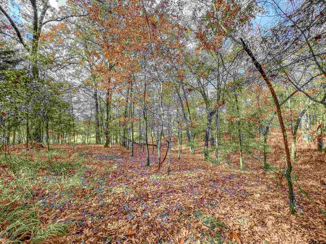 74 County Road 4220, Mt Vernon, TX 75457