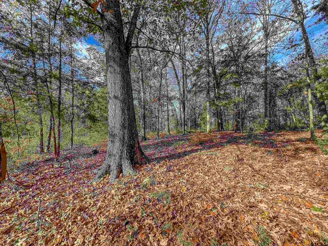 74 County Road 4220, Mt Vernon, TX 75457