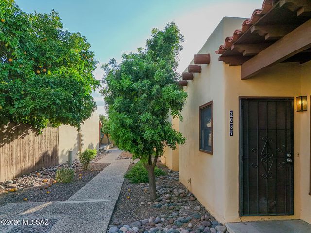 3087 N Sparkman Boulevard, Tucson, AZ 85716