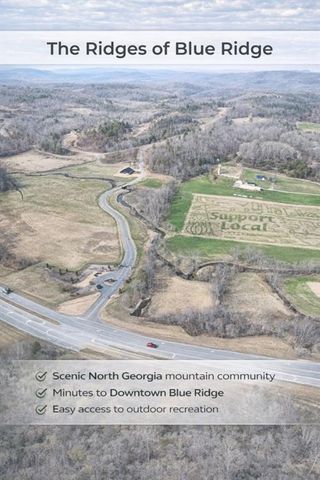 0 Ridge Drive, Morganton, GA 30560