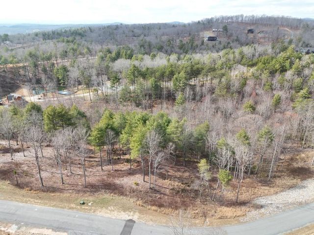 0 Ridge Drive, Morganton, GA 30560