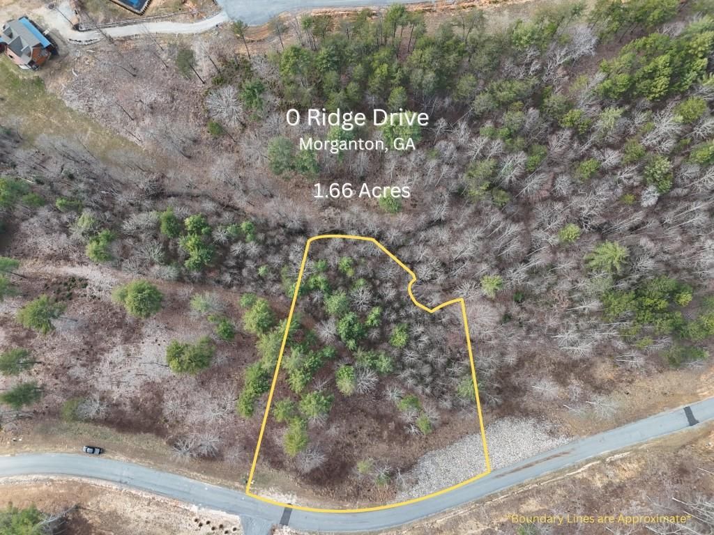 0 Ridge Drive, Morganton, GA 30560