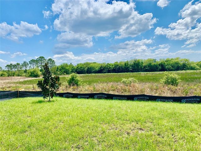 125 PINEYWOODS STREET, St Cloud, FL 34772