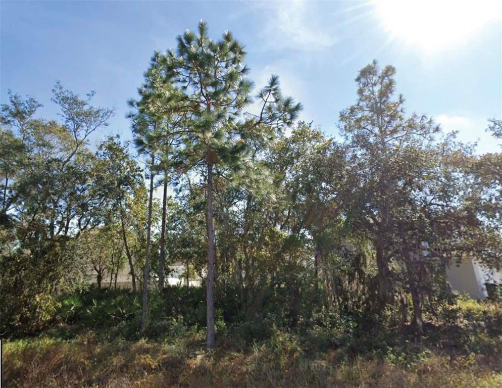 1626 PILCHARD COURT, Poinciana, FL 34759