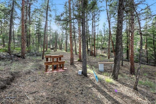 1721 Wildhorn Road, Florissant, CO 80816
