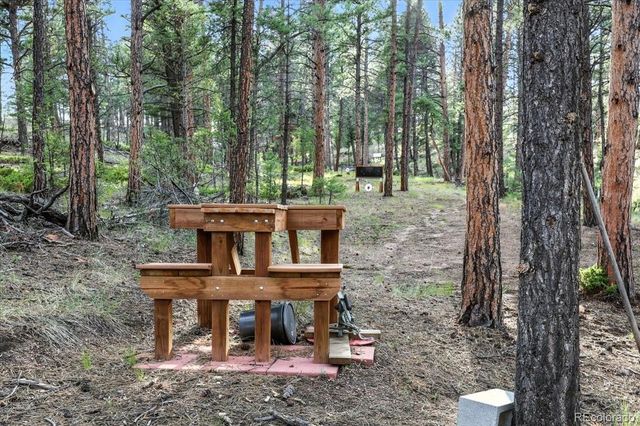 1721 Wildhorn Road, Florissant, CO 80816