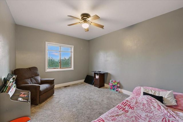 1721 Wildhorn Road, Florissant, CO 80816