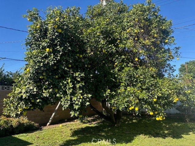 16245 Londelius, North Hills (los Angeles), CA 91343