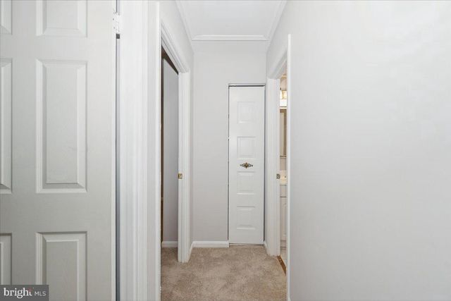 10113 MAPLE LEAF DR, Montgomery Village, MD 20886