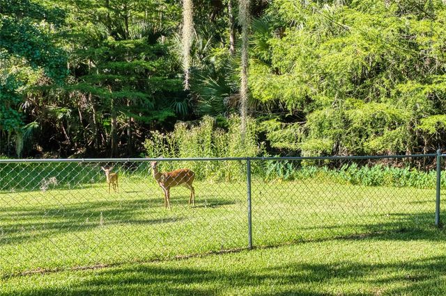 14 BLACK OAK COURT, Palm Coast, FL 32137