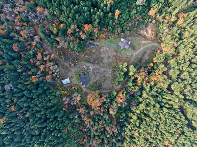 1480 Bridge Lane, Wolf Creek, OR 97497