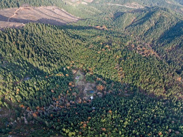 1480 Bridge Lane, Wolf Creek, OR 97497