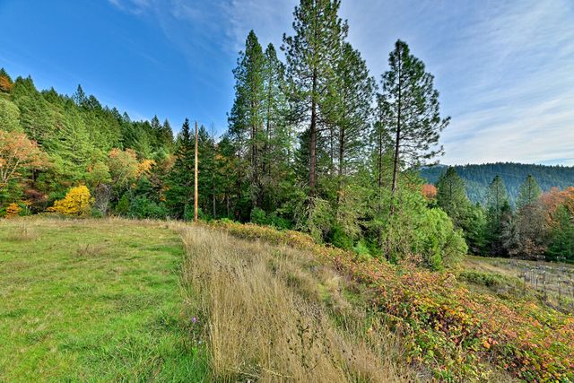 1480 Bridge Lane, Wolf Creek, OR 97497