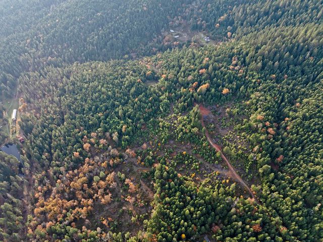 1480 Bridge Lane, Wolf Creek, OR 97497