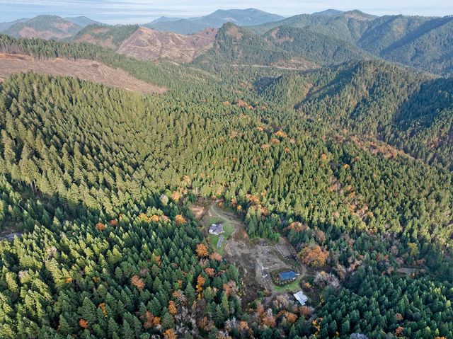 1480 Bridge Lane, Wolf Creek, OR 97497