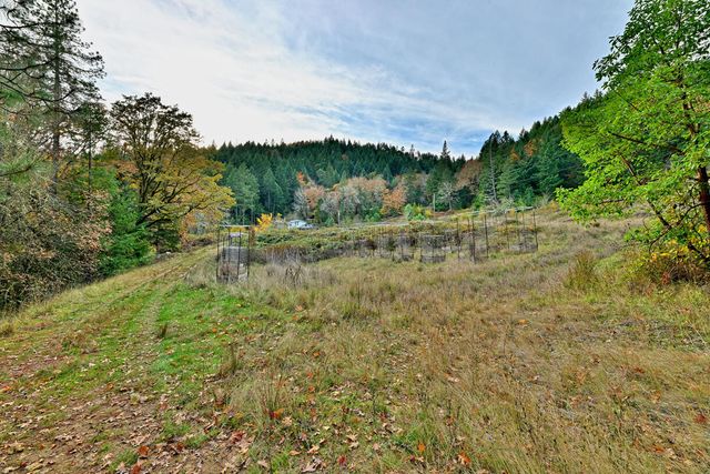 1480 Bridge Lane, Wolf Creek, OR 97497