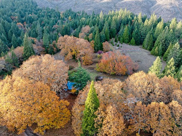 1480 Bridge Lane, Wolf Creek, OR 97497