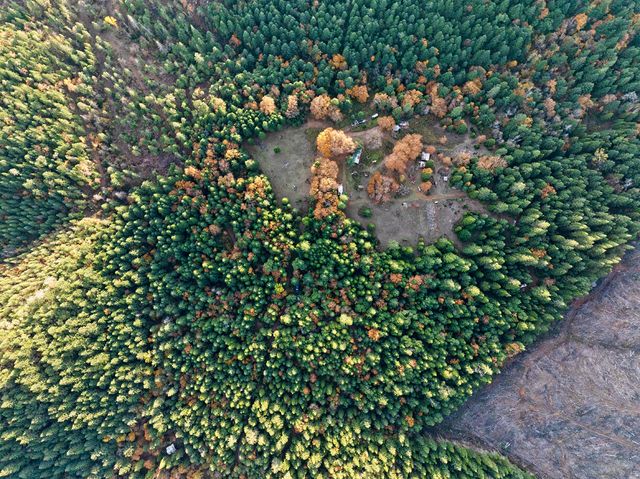 1480 Bridge Lane, Wolf Creek, OR 97497