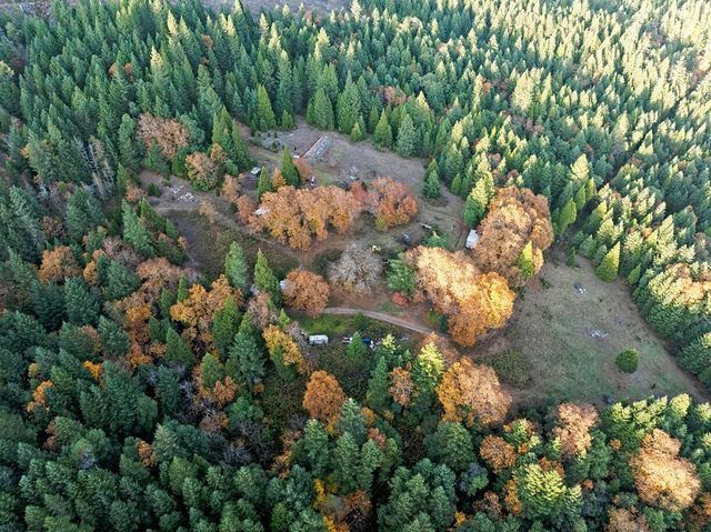 1480 Bridge Lane, Wolf Creek, OR 97497