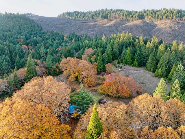 1480 Bridge Lane, Wolf Creek, OR 97497
