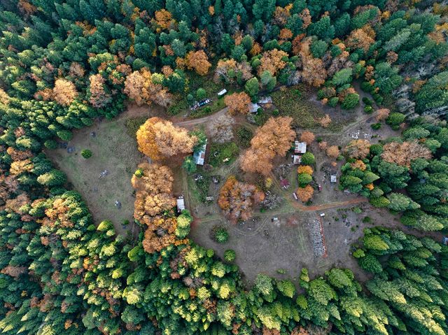 1480 Bridge Lane, Wolf Creek, OR 97497