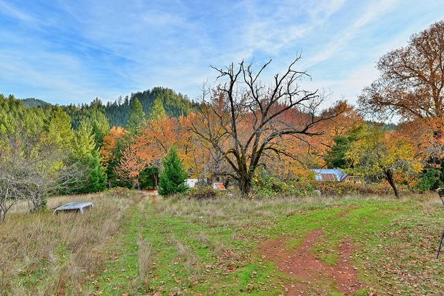 1480 Bridge Lane, Wolf Creek, OR 97497